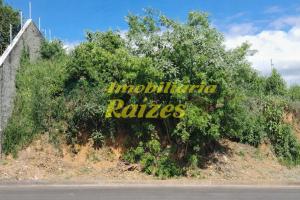 TERRENO À VENDA | ESTANCIA SUÍÇA