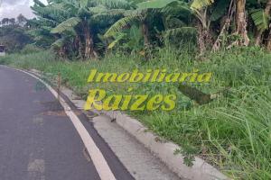 Excelente Oportunidade! Lote de 600m² para Projeto Diferenciado