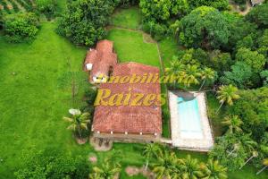 Propriedade Rural Produtiva – Lago, Piscina e Café Produzindo