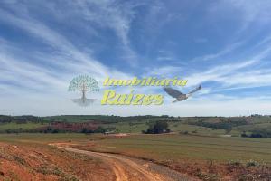 FAZENDA MINAS GERAIS 